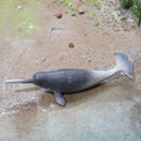 Realistic Whale & Shark Action Figures - Model Collection for Kids