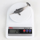 Realistic Whale & Shark Action Figures - Model Collection for Kids