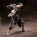 Airoki Rise of Insects 1/12 Metamorphose Worm Series 2025 Action Figure