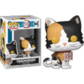 Demon Slayer Doma Akaza Chachamaru Funko Pop Anime Figure Gift